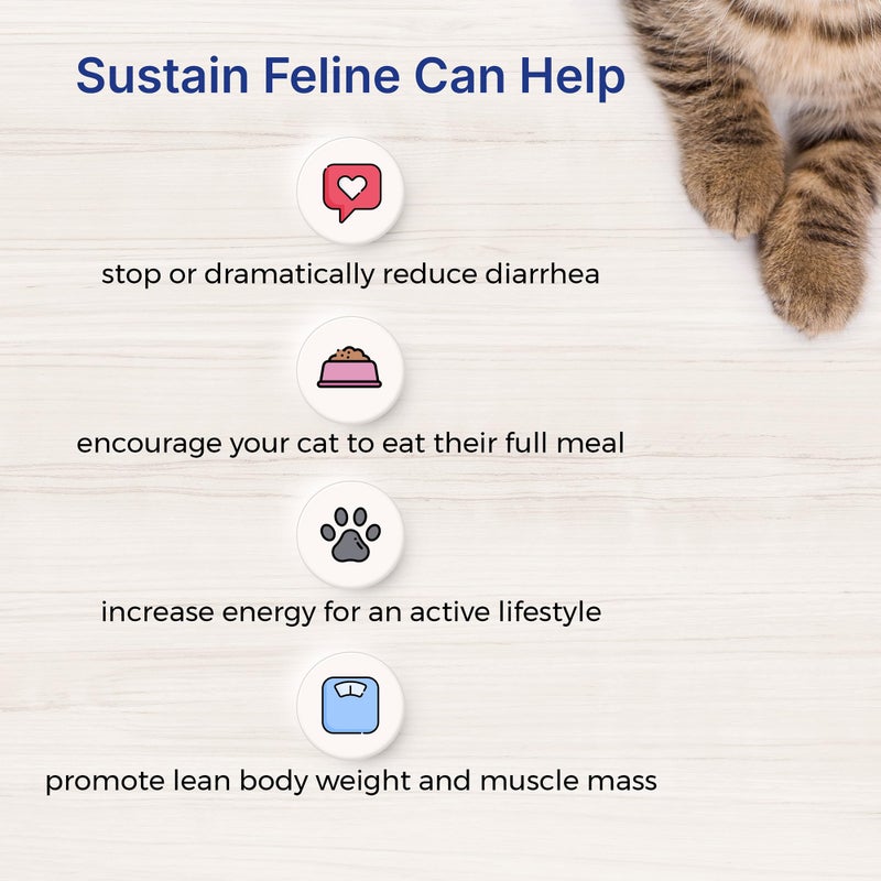 EMERAID Sustain Feline Recovery Food for Cats 400 g - Image 5